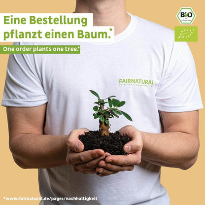 Poudre de protéine vegan bio noix de coco sans soja