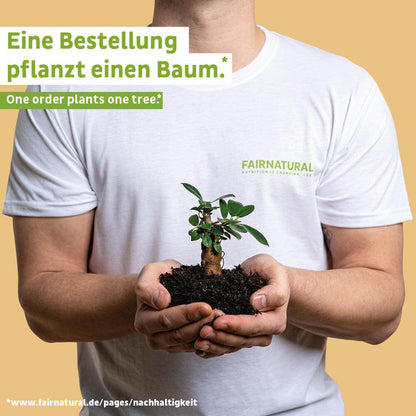 Banane en poudre protéinée vegan bio sans soja