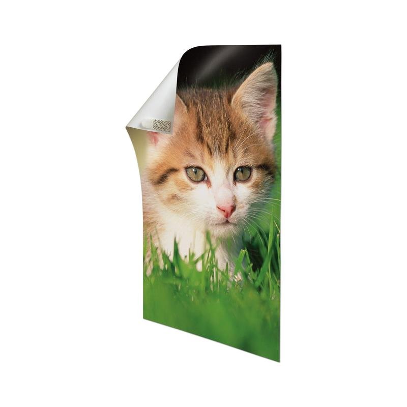 Une feuille imprimée avec un coin supérieur enroulé montre un gros plan d'un chaton tigré dans l'herbe verte. Avec les bandes adhésives Command™ Poster-Strips 17024 de 3M Deutschland GmbH pour une fixation sans résidus, il est facile à appliquer sur n'importe quel fond blanc.