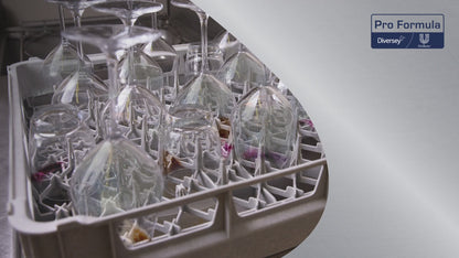 Sun Professional Water plus récent pour Hartwasser, Saurer plus Clear plus Canister (5 L)